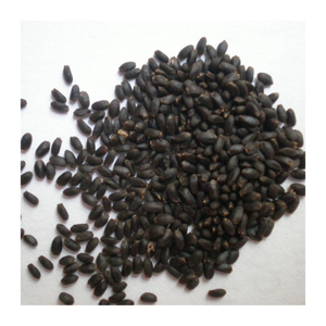 Graines de basilic pur Origine vietnamienne Qualité supérieure Exportation en gros Fournisseur en vrac pour les boissons Smoothies Desserts - Product Image 1