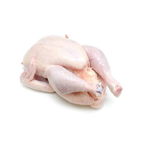 Dindes entières halal congelées biologiques de haute qualité en vrac pour la vente en gros - Product Image 1