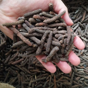 Producto Agrícola de Pimiento Largo, 10-25 Kg por Caja, 2 Años de Vida Útil, de Indonesia - Product Image 1