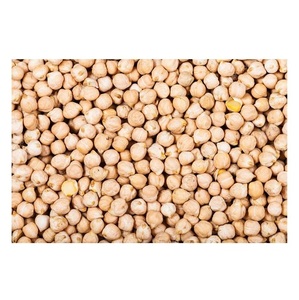 Garbanzos Kabuli Crudos Secos de Francia, Orgánicos, Naturales, Saludables, de Alta Calidad, Sin GMO, a Granel, 25 kg - Product Image 1
