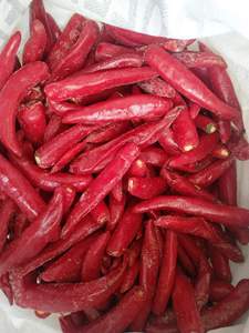 PAQUET DE CHILI CONGELÉ/CHOIX PROPRE/PRODUIT VÉGÉTAL - Product Image 5