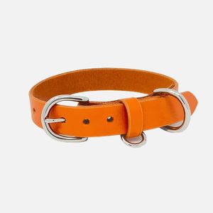 Elite Collar de cuero para mascotas Diseño atemporal Collar de perro de calidad premium con diseño vintage de Divine International - Product Image 5