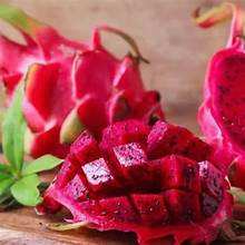 ÉTIQUETTE PROPRE FRUITS DU DRAGON ROUGE CONGELÉS EN DÉCOUPES PRÊTS À MANGER POUR RÉGIME VÉGAN ET NUTRITION ALIMENTAIRE ENTIÈRE - Product Image 5