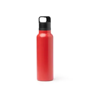 Graziosa Bottiglia Termica Ecologica in Acciaio Inossidabile, Gadget per Acqua - Product Image 3