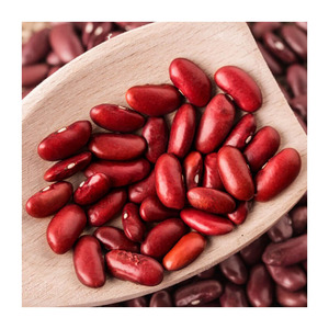 Frijoles rojos moteados orgánicos al mejor precio, Frijoles verdes frescos de grado Sortex/HPS de Uzbekistán en bolsas a granel sin OGM - Product Image 6