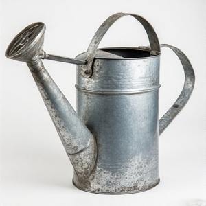 Regadera galvanizada atemporal con revestimiento resistente a la intemperie y Caño estrecho para un vertido de precisión - Product Image 4