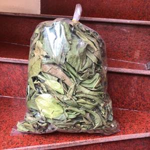 ใบส้มโอแห้งสำหรับชาสมุนไพร ดีท็อกซ์ และการผ่อนคลาย จำหน่ายจำนวนมากจากเวียดนาม - Product Image 1