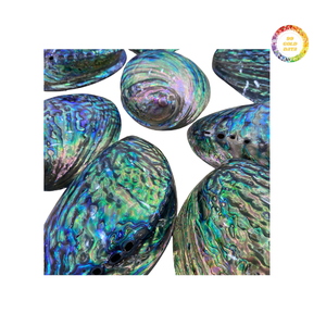 Natural <b>Abalone</b> <b>Shell</b> Material For Jewelry And Interior Decoration Polished <b>Abalone</b> <b>Shell</b> Wholesale From Factory - Product Image 1