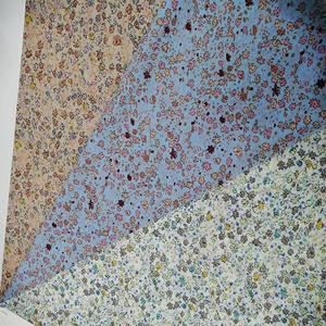 Stock-17038; 60S Tela de gasa elástica ligera 75gsm 57 "/58" Tejido 60S Algodón Slub Print Uso al aire libre Niños Niñas - Product Image 1