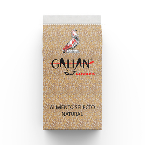 Ngô chất lượng cao dùng làm thức ăn chăn nuôi 25KG - MAIZ PALOMERO - Product Image 1