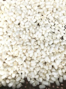 Tradition Crafting Telas de seda 100% White Coton Silk Cocoon para hilado/fieltro/Arte de hilo/cosmético - Product Image 2