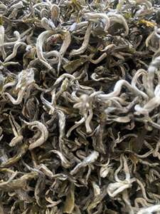 Thé des neiges Shan du Vietnam, cueillies à la main et séchées naturellement | QUANTITÉ EN VRAC DISPONIBLE - Product Image 3