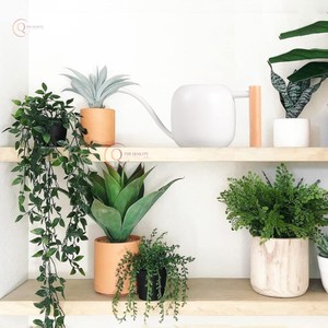 บัวรดน้ำสแตนเลสสำหรับสวนในบ้านดีไซน์หรูหราอุปกรณ์เคลือบผงสีขาวทรงกลม - Product Image 4