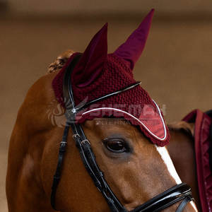 Quantité minimale de commande bas taux de gros équipement d'équitation bonnet d'oreille dernière conception cheval oreille bonnet fabriqué au Pakistan - Product Image 2