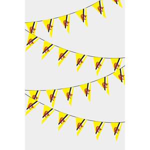 Guirnalda de Banderines Triangulares de Brunéi con Técnicas de Impresión Digital para Gráficos - Product Image 1