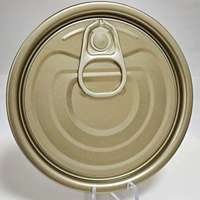 Performances Élevées 300 #   Couvercle de boîte Eoe avec revêtement doré de Hongfeng Metal