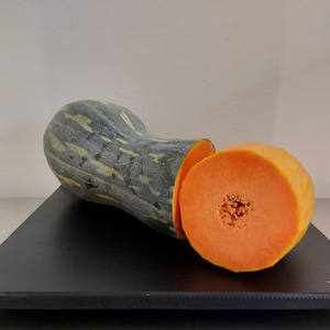 <span class=keywords><strong>Graines</strong></span> de courge <span class=keywords><strong>Butternut</strong></span> Cucurbita Moschata 5G Saveur délicate Fournitures de jardinage - Product Image 6