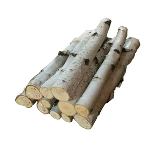 Gỗ tròn gỗ bạch dương sấy khô để xuất khẩu-Tuân thủ ispm 15 - Product Image 3