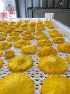 Chewy Vietnam soft dried pineapple for kids <b>lunch</b> <b>boxes</b> and office snacks available in bulk quantities for wholesale buyers - Product Image 5