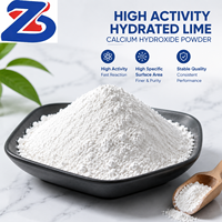 Poudre d'hydroxyde de calcium à haute activité, chaux hydratée à grande surface pour applications industrielles