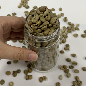 Robusta S18 Grains de café vert Processus naturel du Vietnam Norme européenne Écran propre 18 + Commande en gros OEM Vente en gros - Product Image 4