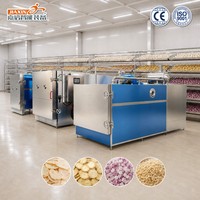 Machine de lyophilisation des légumes de qualité alimentaire entièrement automatique pour légumes, ail, gingembre et oignon