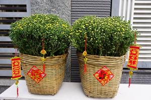 <b>Bamboo</b> <b>Basket</b> Woven Crafted <b>Basket</b> With Sustainability Eco-Friendly Handmade Products for Vintage Decoration - Product Image 4