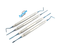 Kit de 4 instruments dentaires manuels en acier inoxydable de haute qualité pour composites, pointes argentées, légers et réutilisables