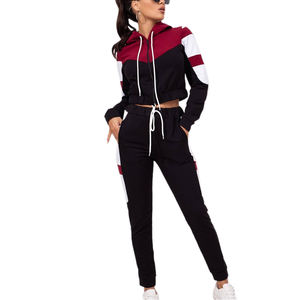 Conjunto Deportivo de Invierno de 2 Piezas para Mujer, Sudadera con Capucha y Pantalones Deportivos, 100% Algodón, Color Sólido, con Logotipo Personalizado - Product Image 2