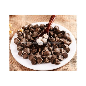 Acheter extrait de graines de Moringa en gros vente chaude 100% pur et naturel de l'Inde en 25 Kg PP sacs de l'Inde - Product Image 6