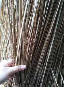 Bâton de balai de feuille de noix de coco écologique idéal pour jardin domestique et usage industriel - Product Image 4