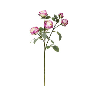 Alta calidad Louis Quintet Blooms Flor artificial Borde quemado Rosa Cinco cabezas Tallos de rosas para la decoración de la boda - Product Image 5