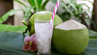 ÉCHANTILLON D'ESSAI GRATUIT Eau de coco fraîche aux fruits verts et bruns pour faire de la gelée, des bonbons ou des boissons