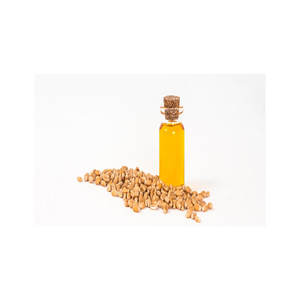 Aceite de germen de trigo a base de plantas naturales 100%, portador de aceite de semilla negra prensado en frío de fabricantes para el cuidado del cabello corporal - Product Image 4