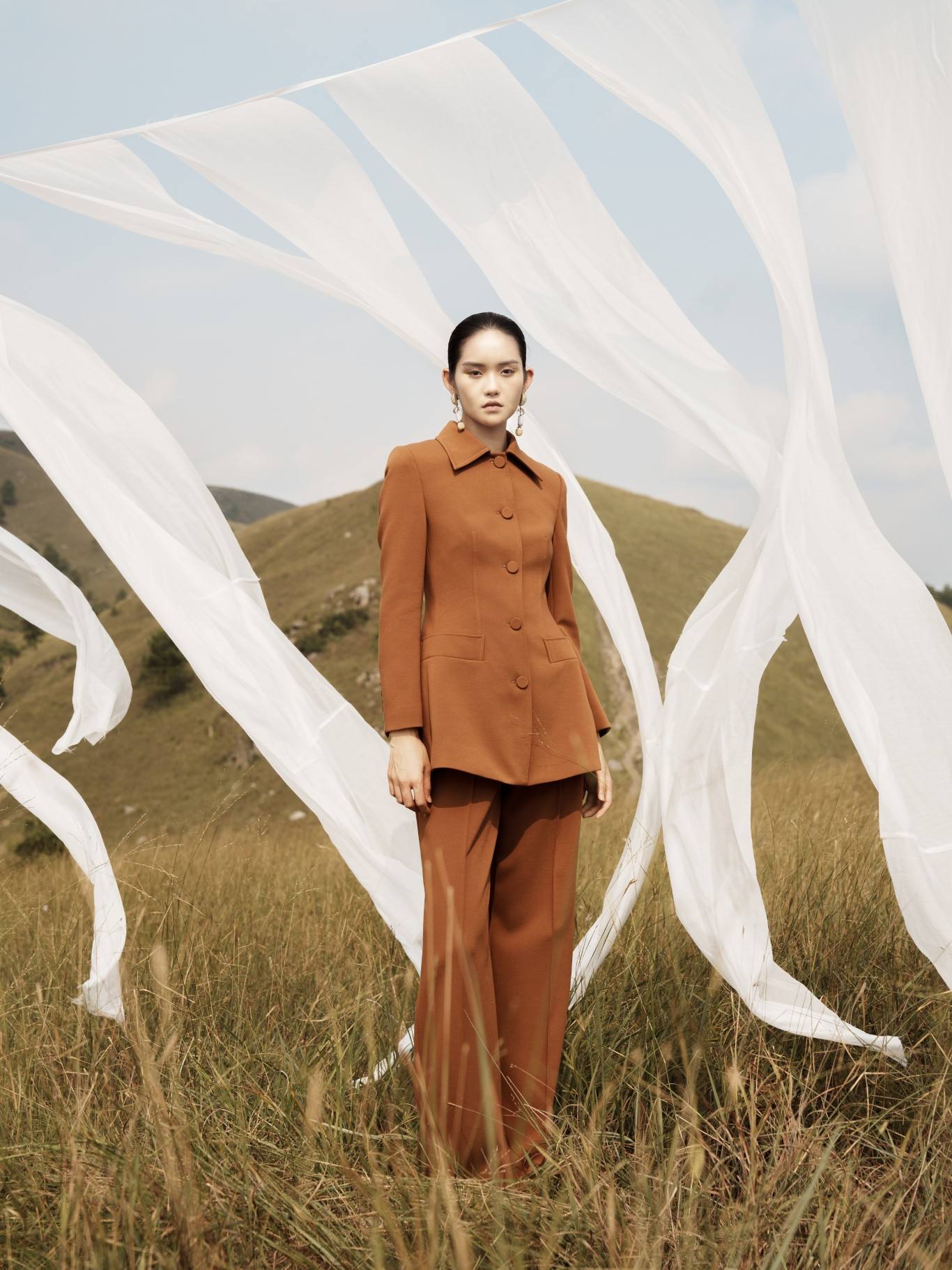 สีน้ำตาล