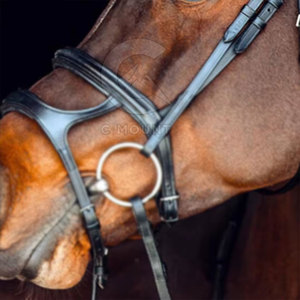 Bride de cheval en cuir de Dressage d'approvisionnement direct d'usine avec bride de cheval en cuir de couleur et de taille fabriquée par le Pakistan - Product Image 4
