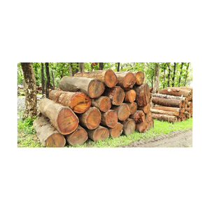 Construction Artisanat Divers Y Compris Bouleau Paulownia Peuplier Acacia Pin Eucalyptus Chêne et Teck Bois Grumes - Product Image 6