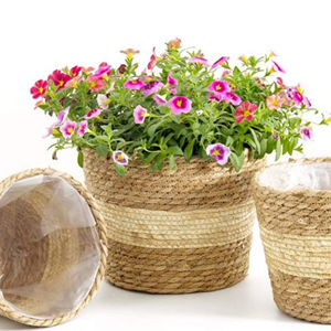 Maceta de algas marinas de diseño bohemio, maceta decorativa para aplicación de jardín de flores de árbol, venta al por mayor de Vietnam, el mejor precio - Product Image 6