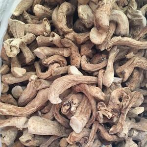 Vente en gros de champignons en vrac du Vietnam Champignons shiitake biologiques Tige Ms Holiday - Product Image 4