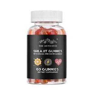 Servicio OEM/ODM de 500mg de gomitas Shilajit de alta calidad con etiquetado privado Exportación de polvo orgánico desde la India para el mercado global - Product Image 2