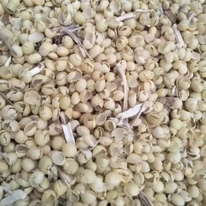 Coques de soja en vrac de qualité supérieure disponibles Coques de soja riches en fibres, protéines et nutriments naturels pour l'alimentation animale - Product Image 6