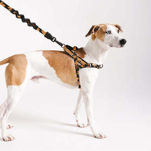 Arnés Noruego de Moda para Perros, Diseño Farm Rio Bossa Banana, Hecho de Poliéster, para Caminatas Más Suaves - Product Image 3