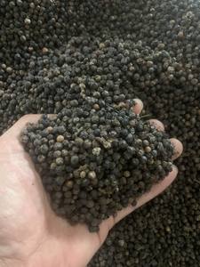 [GROUPE VILACONIQUE] POIVRE NOIR VIETNAMIEN MEILLEURE QUALITÉ VENTE EN GROS ÉPICÉ ÉPICÉ CHAUD ÉPICÉ 550G/L FAQ EXPORTATION TOUS LES GRADES NOUVELLE SAISON 2024 - Product Image 6