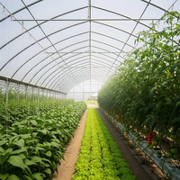 Serre de jardin modulaire de grande taille de haute qualité, résistante au vent, serre agricole avec film PE 3 couches pour la plantation de cultures