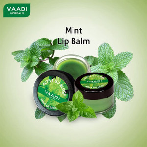 Vaadi Herbals Mint Lip Balm 10g Hidratante natural y cuidado de los labios a base de hierbas Calma, protege y refresca los labios - Product Image 3