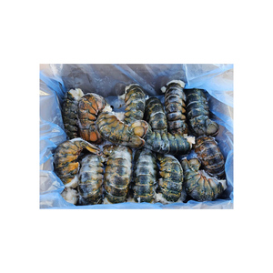 Langosta congelada a granel preparada para cadenas de suministro de restaurantes y mercados de distribución mayorista - Product Image 2