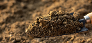 ปุ๋ยอินทรีย์ NPK ที่ผลิตจากโรงงาน ปุ๋ยไนโตรเจนละลายน้ำได้ ปุ๋ยธาตุอาหารรองชนิดเชลีต รูปแบบผง ออกฤทธิ์เร็ว 99% - Product Image 6