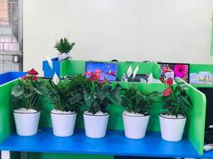 Venta al por mayor de fábrica, macetas de cultivo de vivero de plástico duraderas para invernadero, maceta de riego automático - Product Image 3