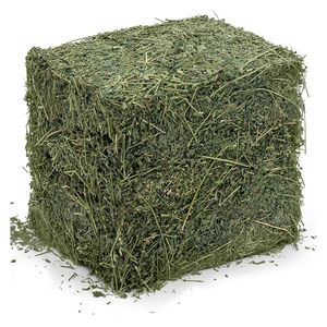Nouveau foin de luzerne prêt à l'approvisionnement Foin de luzerne à haute teneur en protéines pour l'alimentation animale Prix bon marché - Product Image 1