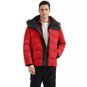 Veste imperméable imprimée avec logo personnalisé de haute qualité pour hommes Veste d'extérieur légère en duvet pour hommes - Product Image 3